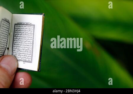 Mann Lesen eines Mini Quran. Stockfoto