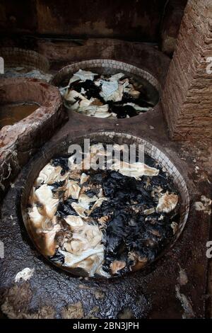 Versteckt sich in einer Gerberei in Fes Medina (Altstadt), Marokko. Stockfoto