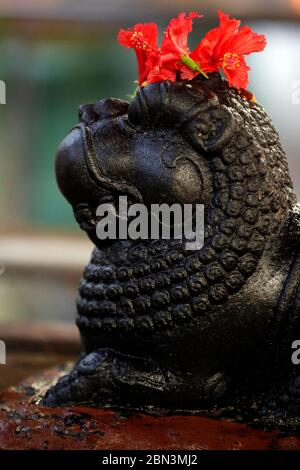 Sri Mahamariamman Hindu Tempel. Nandi, Heilige Bulle von Shiva. Kuala Lumpur. Malaysia. Stockfoto