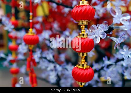 Guan Di chinesischer taoistischer Tempel. Rote traditionelle Laternen hängen an Baum für chinesisches Neujahr. Kuala Lumpur. Malaysia. Stockfoto