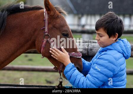 Teenager bereitet einen poney in Beaumesnil, Frankreich. Stockfoto