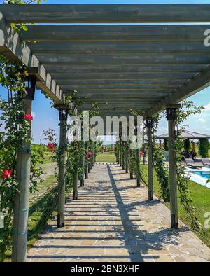 Ein gepflasterter Weg im Garten mit hölzernen Torbögen, die mit Rosenpflanzen und blühenden Rosen bedeckt sind, Ideen für Gartendekorationen mit schönen Naturmotiven Stockfoto