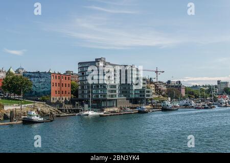 VICTORIA, KANADA - 14. JULI 2019: Geschäftiger Hafen in der Innenstadt mit Yachten und modernen Gebäuden. Stockfoto