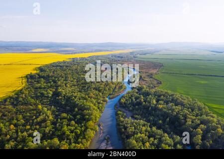 Flug durch den majestätischen Fluss Dnister, üppig grünen Wald und blühende gelbe Rapsfelder bei Sonnenuntergang. Ukraine, Europa. Landschaftsfotografie Stockfoto