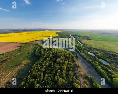 Flug durch majestätischen Fluss, üppig grünen Wald und blühende gelbe Rapsfelder bei Sonnenuntergang. Landschaftsfotografie Stockfoto