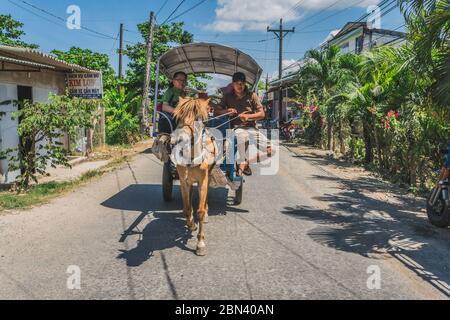 Rural Horse Cart mit Touristen in einer vietnamesischen Landschaft. Vietnam, Mekong Delta, 20. März 2020. Stockfoto