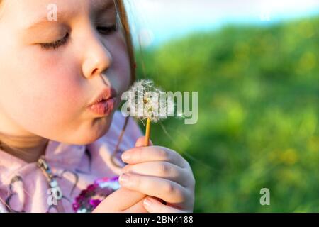 Schönes kleines Mädchen weht einen Löwenzahn auf einem Hintergrund von grünem Gras Stockfoto