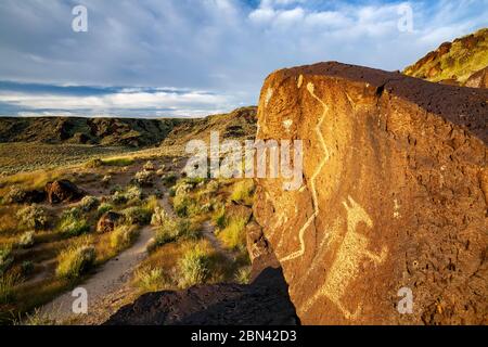 Petroglyphen in Rinconada Canyon, Petroglyph National Monument, Albuquerque, New Mexico, USA Stockfoto