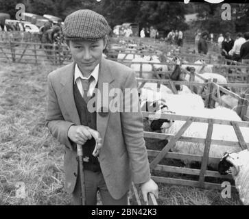 1980er Jahre, ein elegant gekleideter junger Mann, ein Richter, in einer Jacke und Krawatte und Stoffmütze in einem Schafstall bei der Farndale Show in Yorkshire, England, Großbritannien. Stockfoto