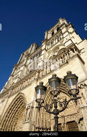 Westfassade der Kathedrale Notre-Dame de Paris in Ile De la Cite.Paris.Frankreich Stockfoto