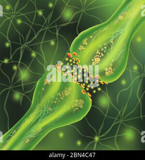 Signalgebung im Gehirn. Neuronale Verbindungen im Gehirn bilden Gedanken, Konzept-Lernen. Übertragung von Impulsen in einem lebenden Organismus. Neuronal isoliert auf grünem Hintergrund. Synapse und Neuron Zellen. Stockfoto