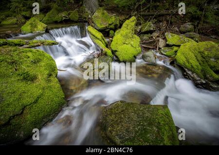 Kleine Flusskaskade und moosgrüne Felsen in den Bergen von Nord-Idaho. Stockfoto