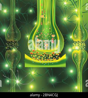 Synapse und Neuron Zellen. Übertragungssignal des Impulses in einem lebenden Organismus. Kommunikation von Neuronen. Signalgebung im Gehirn. Lernen von Konzepten. 3d-Darstellung. Stockfoto