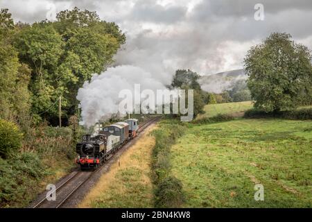 BR '57xx' 0-6-0 Nr. 7714 nähert sich Crowcombe auf der West Somerset Railway während ihrer Herbst-Dampfgala Stockfoto