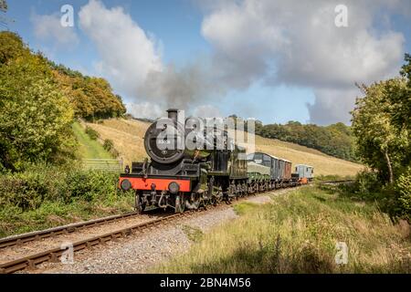 BR '7F' 2-8-0 No. 53808 fährt Kentsford mit der West Somerset Railway während ihrer Autumn Steam Gala Stockfoto