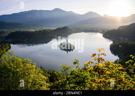 Wunderschöner Blick über den Bleder See am frühen Morgen. Stockfoto