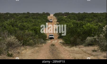 Mitglieder des Teams der U.S. Border Patrol Search, Trauma, and Rescue (BORSTAR) verfolgen eine Gruppe illegaler Aliens, während sie auf einer Patrouille in der Nähe von Eagle Pass, Texas, 19. Juni 2019 durch die dichte Bürste gehen. Als Grenzschutzagenten beauftragt werden, die Aufnahme und Verarbeitung des jüngsten Anstiegs der Migranten an der Grenze durchzuführen, haben Mitglieder von BORSTAR bei der Verfolgung illegaler Ausländer in der Ferne geholfen. CBP Stockfoto