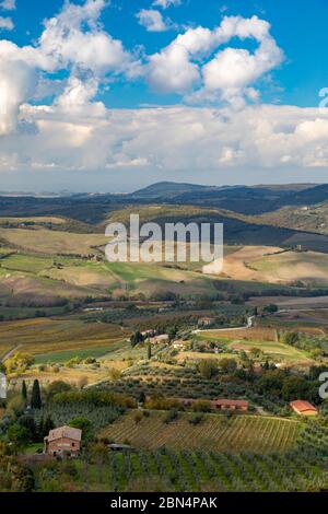 Blick über die toskanische Landschaft von Montepulciano, Toskana, Italien Stockfoto