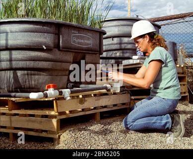 Eine junge Wissenschaftlerin nimmt Wasserproben und macht Messungen und Berechnungen, um die Wasserqualität in einem Industrieölfeld zu analysieren. Stockfoto