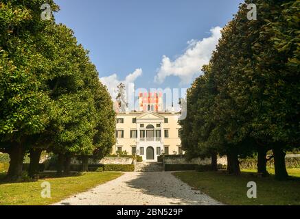 Von Bäumen gesäumte Eingangsallee der Villa Albertini (16. jh.), eine historische Villa am Ufer des Gardasees, Garda, Provinz Verona, Venetien, Italien Stockfoto