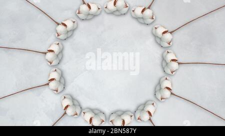 Baumwollblumen auf weißem Betongrund, Kopierraum, Platz für Text und Logo. Draufsicht, flaches Lay. Stockfoto