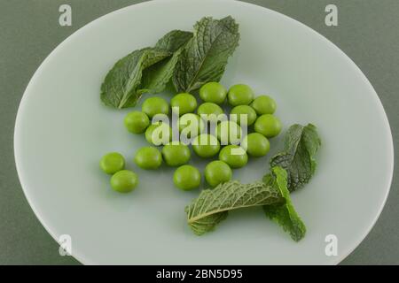 Minze Chocolate Chip in Schokolade Süßigkeiten bedeckt Stücke mit frischen Minzblättern auf grüner Platte mit grünem Hintergrund Stockfoto