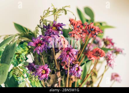 Ein Strauß toter, farbenfroher Blumen Stockfoto