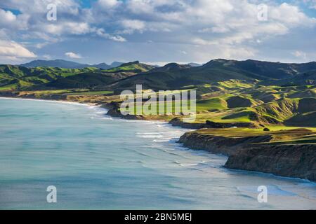 Castlepoint Küste, Berglandschaft mit grünen Hügeln und Weideland, Masterton, Wellington, Neuseeland Stockfoto