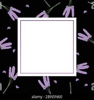 Lavendel Blumen Banner auf schwarzem Hintergrund. Vektorgrafik. Stock Vektor