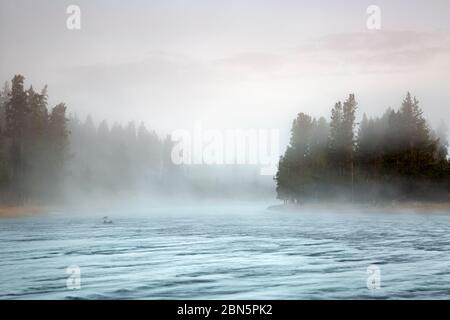 WY04281-00...WYOMING - Morgennebel am Firehole River im Yellowstone National Park. Stockfoto