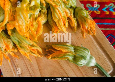 Frische Squashblüten, Flor de Calabaza, frisch geerntet in mexiko Stockfoto