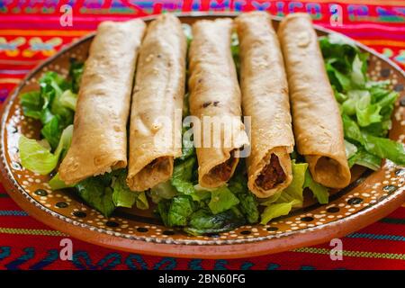 Feutas de pollo, Chicken Tacos dorados und Salsa hausgemachte mexikanische Küche in mexiko-Stadt Stockfoto