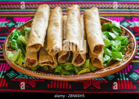 Feutas de pollo, Chicken Tacos dorados und Salsa hausgemachte mexikanische Küche in mexiko-Stadt Stockfoto