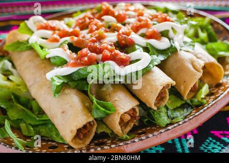 Feutas de pollo, Chicken Tacos dorados und Salsa hausgemachte mexikanische Küche in mexiko-Stadt Stockfoto