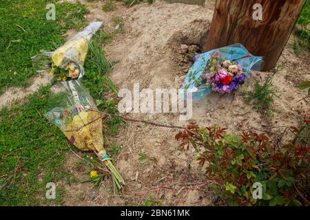 Indianapolis, Usa. Mai 2020. Blumen für Reed, 21, liegen unter der Sonne nahe der Ecke der 62nd Street und Michigan Road, wo ein Indianapolis Metropolitan Police Department Offizier tödlich von Reed geschossen hat, letzte Woche in Indianapolis. Quelle: SOPA Images Limited/Alamy Live News Stockfoto