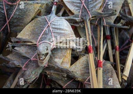 Getrocknete Eidechsen zum Verkauf in einem Marktstand, Hongkong Stockfoto