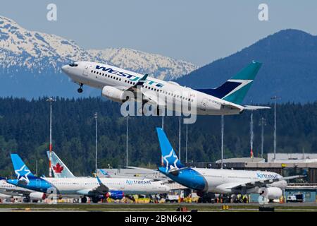 Richmond, British Columbia, Kanada. Mai 2020. Ein WestJet Airlines Boeing 737-700 Jetliner (C-GWSO) hebt am Freitag, 8. Mai 2020, vom Vancouver International Airport, Richmond, B.C. ab. Kredit: Bayne Stanley/ZUMA Wire/Alamy Live News Stockfoto