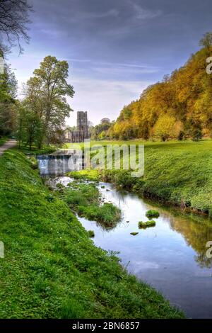 Fountains Abbey, Ripon, Yorkshire, Großbritannien Stockfoto