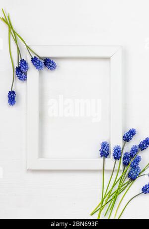 Blaue Hyazinthen und weißer Rahmen auf Holzhintergrund. Draufsicht. Flaches Lay. Vertikaler Rahmen. Minimales Konzept. Stockfoto