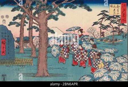 Japan: 'Kirschblüten-Betrachtung auf dem Asuka Hill'. Aus der Serie 'berühmte Orte in Edo' von Utagawa Hiroshige I (1797-1858), 1853. Utagawa Hiroshige (17 Stockfoto