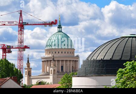 Potsdam, Deutschland. Mai 2020. Kraniche stehen in der Nähe der Nikolai-Kirche auf dem Alten Marktplatz, im Vordergrund rechts die Kuppel der Französischen Kirche. Quelle: Soeren stache/dpa-Zentralbild/ZB/dpa/Alamy Live News Stockfoto