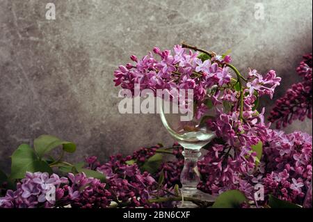 Lila Flieder liegen auf einem kleinen Weinglas, umgeben von Blumen. Horizontales Foto mit Kopierbereich nach links. Stockfoto