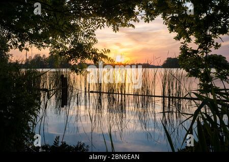 Blick auf die untergehende Sonne über einem See in einem Naturschutzgebiet in Holland. Schöne Reflexionen des Abendhimmels im ruhigen Wasser des Sees. Stockfoto
