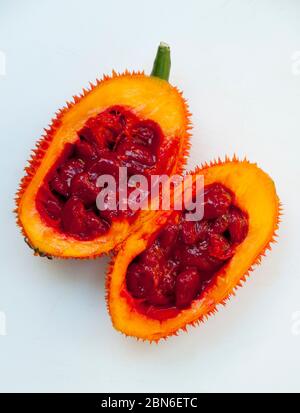 Thailand: GAC-Frucht (Momordica cochinchinensis), Chiang Mai, Nord-Thailand. Gấc (Momordica cochinchinensis), ursprünglich in Vietnam entdeckt, ist Stockfoto