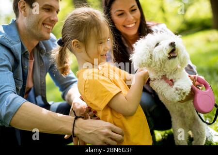 Schöne glückliche Familie ist Spaß mit maltesischen Hund im Freien im Park Stockfoto