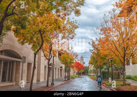 Stanford University Campus an herbstlichen Regentagen, Palo Alto, Kalifornien, USA. Stockfoto