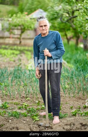 Alte Bäuerin mit Hacke in ihrem Garten Stockfoto