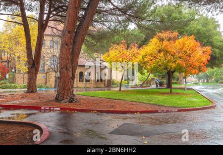 Stanford University Campus an herbstlichen Regentagen, Palo Alto, Kalifornien, USA. Stockfoto