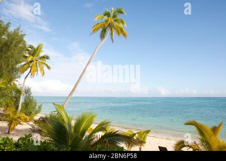 Palmen am tropischen Strand auf der südpazifischen Insel Aitutaki Stockfoto