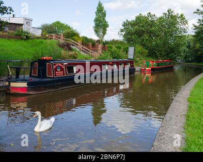 Northwich, UK : 6. Aug 2019: Ferien schmale Boote auf dem Trent und Mersey Kanal im Dorf Anderton festgemacht. Stockfoto